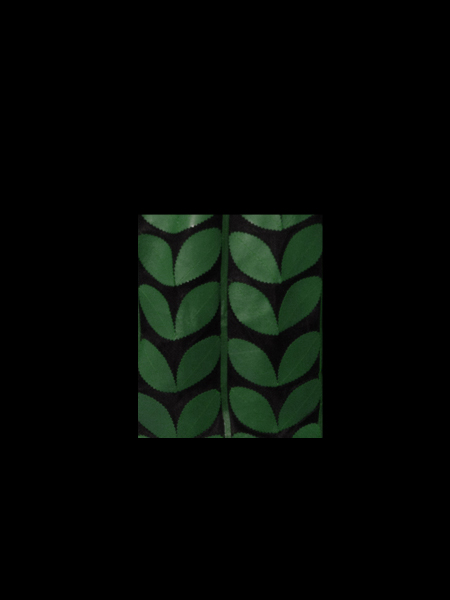 Green Leather Leaf Bolero for Women